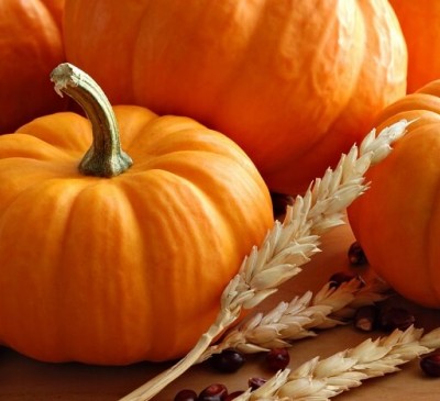 Pumpkin Lel